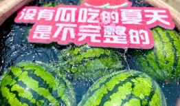 大型吃瓜现场,揭秘娱乐圈幕后风云