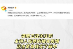 吃瓜娱乐模板,揭秘明星们的“瓜田”奇遇记