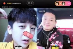 抖音小裁判吃瓜娱乐版,吃瓜娱乐版，揭秘网红圈幕后故事