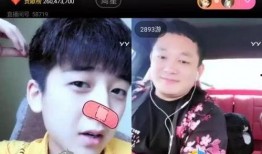 抖音小裁判吃瓜娱乐版,吃瓜娱乐版，揭秘网红圈幕后故事