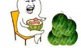 什么叫娱乐圈吃瓜,揭秘明星幕后故事与八卦传闻